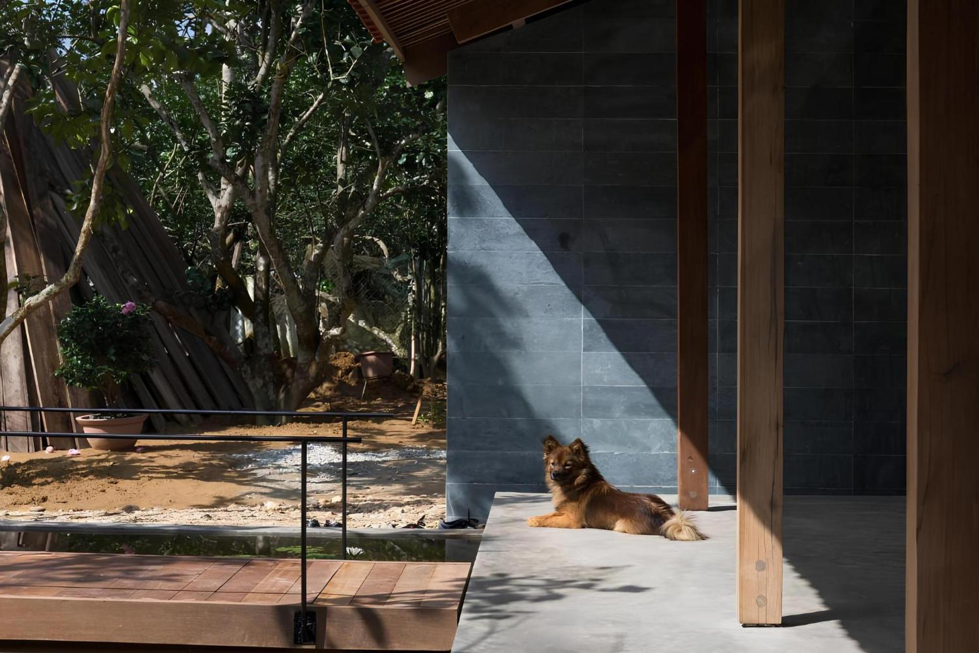 Hachi Homestay & Spa Hué Eksteriør billede